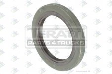 OIL SEAL 55x80x8 MM